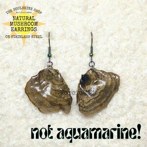 Not Aquamarine! Natural Mushroom Earrings